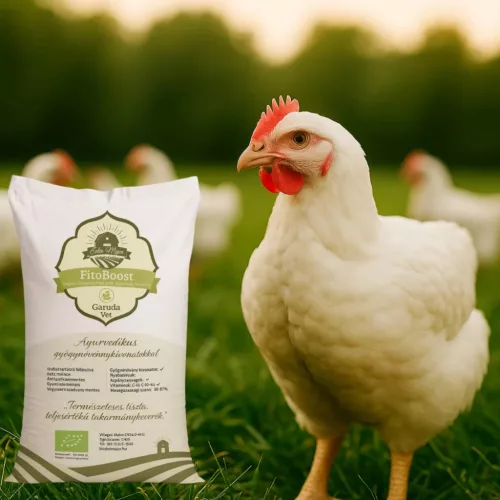 Éden Major FitoBoost organic grower feed for poultry, 20 kg