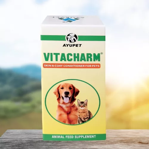 Vitacharm oral liquid for healthy skin and fur for dogs 100 ml