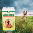Vitacharm belsőleges szőr- és bőrtápláló folyadék kutyáknak 100 ml