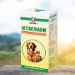 Vitacharm oral liquid for healthy skin and fur for dogs 100 ml