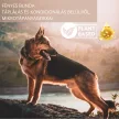 Vitacharm oral liquid for healthy skin and fur for dogs 100 ml
