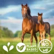 Payapro hormone-free, herbal milk yield booster premix 1 kg
