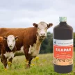 Exapar herbal oral liquid to support placenta expulsion 500 ml