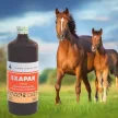 Exapar herbal oral liquid to support placenta expulsion 500 ml