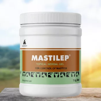 Mastilep herbal udder gel againts mastitis 1 kg