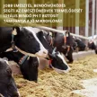 Ruchamax herbal premix to support and optimise digestion and rumen function 15 g