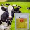 Estrofarm hormonmentes ivarzásmegindító premix 150 g