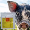 Estrofarm hormonmentes ivarzásmegindító premix 150 g