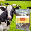 Estrofarm hormonmentes ivarzásmegindító premix 1 kg