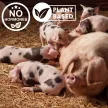 Estrofarm hormone-free herbal premix for estrus induction 1 kg
