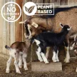 Estrofarm hormone-free herbal premix for estrus induction 1 kg