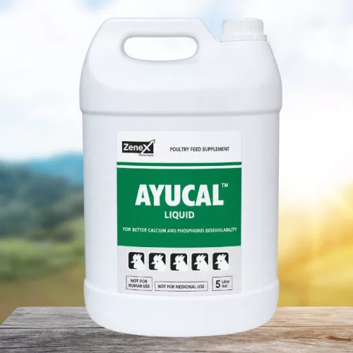 Ayucal herbal oral liquid for enhanced calcium and phosphorus absorption 5 liter