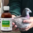 Superliv májvédő, hozamfokozó itatófolyadék 200 ml