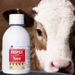 Respzz légzést segítő itatófolyadék 200 ml