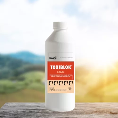 Toxiblok herbal mycotoxin neutraliser oral liquid 1 litre
