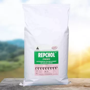 Repchol natural, herbal biotin and choline supplement 1 kg