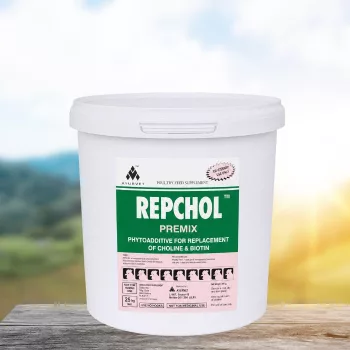 Repchol natural, herbal biotin and choline supplement 1 kg