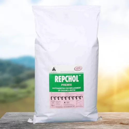 Repchol növényi eredetű biotin és kolin 1 kg