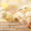 Repchol natural, herbal biotin and choline supplement 1 kg