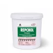 Repchol natural, herbal biotin and choline supplement 1 kg