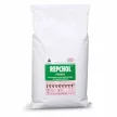 Repchol natural, herbal biotin and choline supplement 1 kg