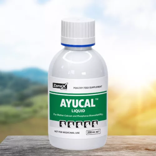 Ayucal herbal oral liquid for enhanced calcium and phosphorus absorption 200 ml