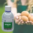 Ayucal csont- és tojáshéj-erősítő itatófolyadék 200 ml