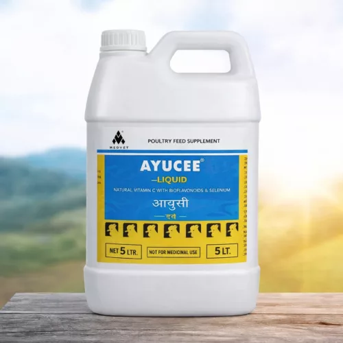 Ayucee herbal oral liquid with natural vitamin C 5 litres