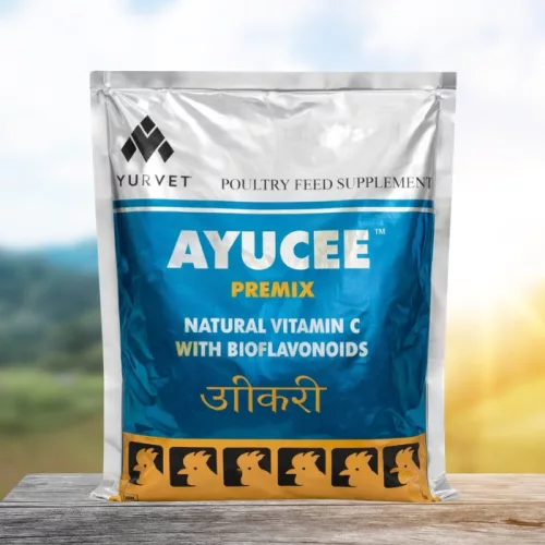 Ayucee herbal premix with natural vitamin C 1 kg