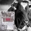 Seminogen hormone-free herbal premix for improving semen-quality 1 kg
