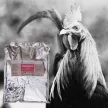 Seminogen hormone-free herbal premix for improving semen-quality 1 kg