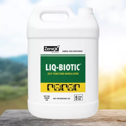 Liq-Biotic herbal anti-diarrhoeal oral liquid 5 litres