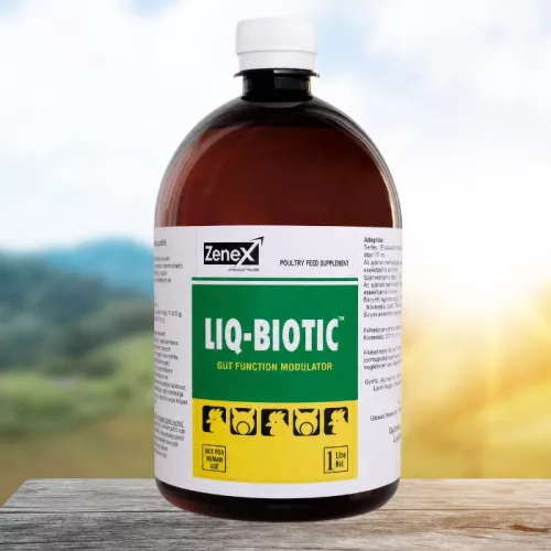 Liq-Biotic herbal anti-diarrhoeal oral liquid 1 litre