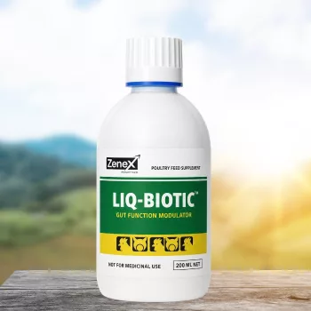 Liq-Biotic herbal anti-diarrhoeal oral liquid 200 ml