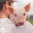 Pulmofarm T légzést javító premix 1 kg