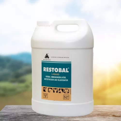 Restobal herbal immune boosting, anti-stress oral liquid 5 litres