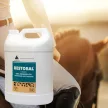 Restobal herbal immune boosting, anti-stress oral liquid 5 litres