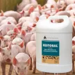 Restobal herbal immune boosting, anti-stress oral liquid 5 litres