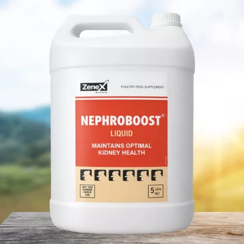 Nephroboost herbal oral liquid for kidney support 5 litres