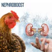 Nephroboost herbal oral liquid for kidney support 5 litres