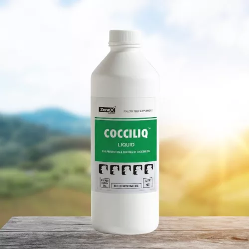 CocciLiq herbal oral liquid against coccidiosis 1 litre