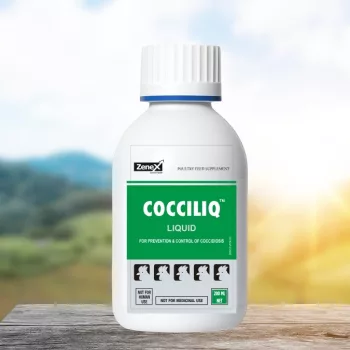 CocciLiq herbal oral liquid against coccidiosis 200 ml