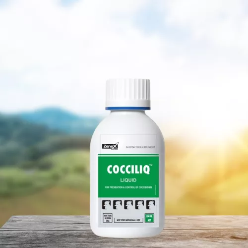 CocciLiq herbal oral liquid against coccidiosis 200 ml