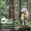 Zerokeet herbal concentrate for ectoparasites in dogs 100 ml