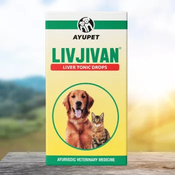 Livjivan herbal liver tonic for dogs 30 ml
