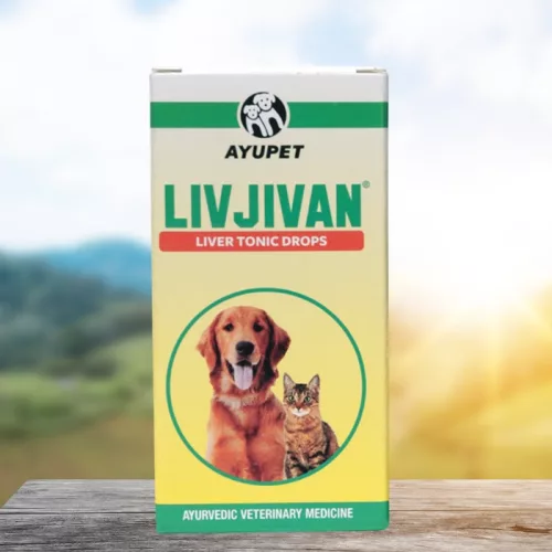 Livjivan herbal liver tonic for dogs 30 ml