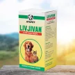Livjivan herbal liver tonic for dogs 30 ml