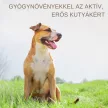 Livjivan herbal liver tonic for dogs 30 ml
