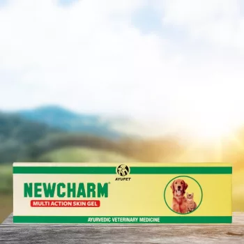 Newcharm herbal wound-healing gel 25 g