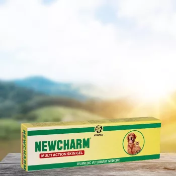Newcharm herbal wound-healing gel 25 g